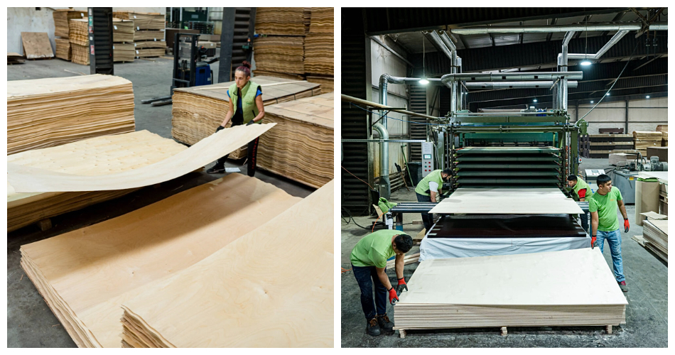 saplākšņa žāvēšana saplākšņa žāvēšana