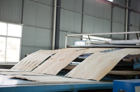 secagem do verniz brilhante