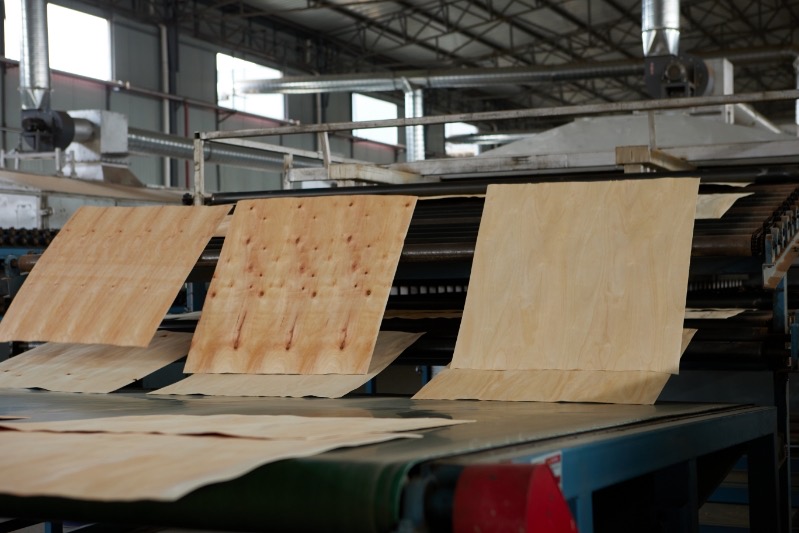 veneer drying machine