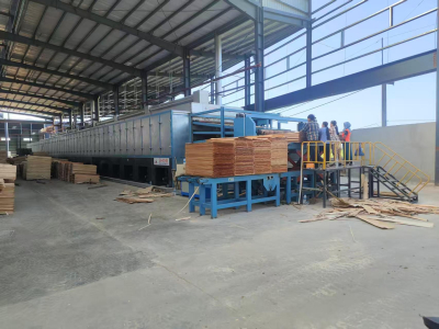 Glanz-Furniertrockner