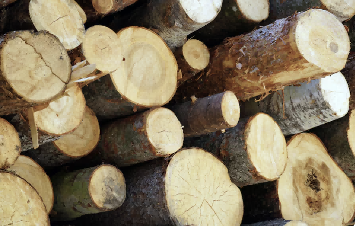 การประมวลผลบันทึก