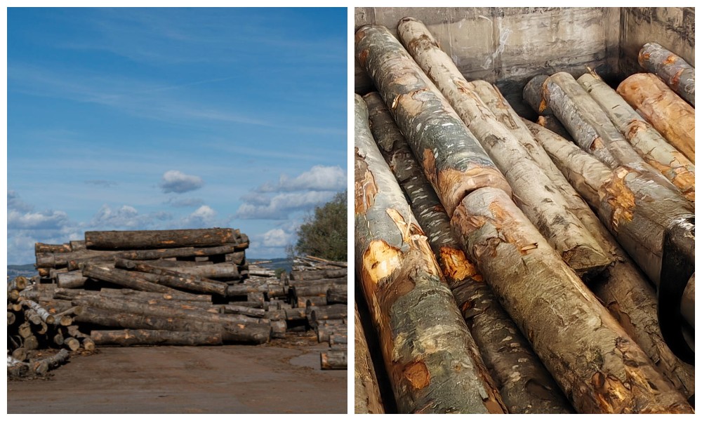 เข้าสู่ระบบนึ่ง เข้าสู่ระบบนึ่ง