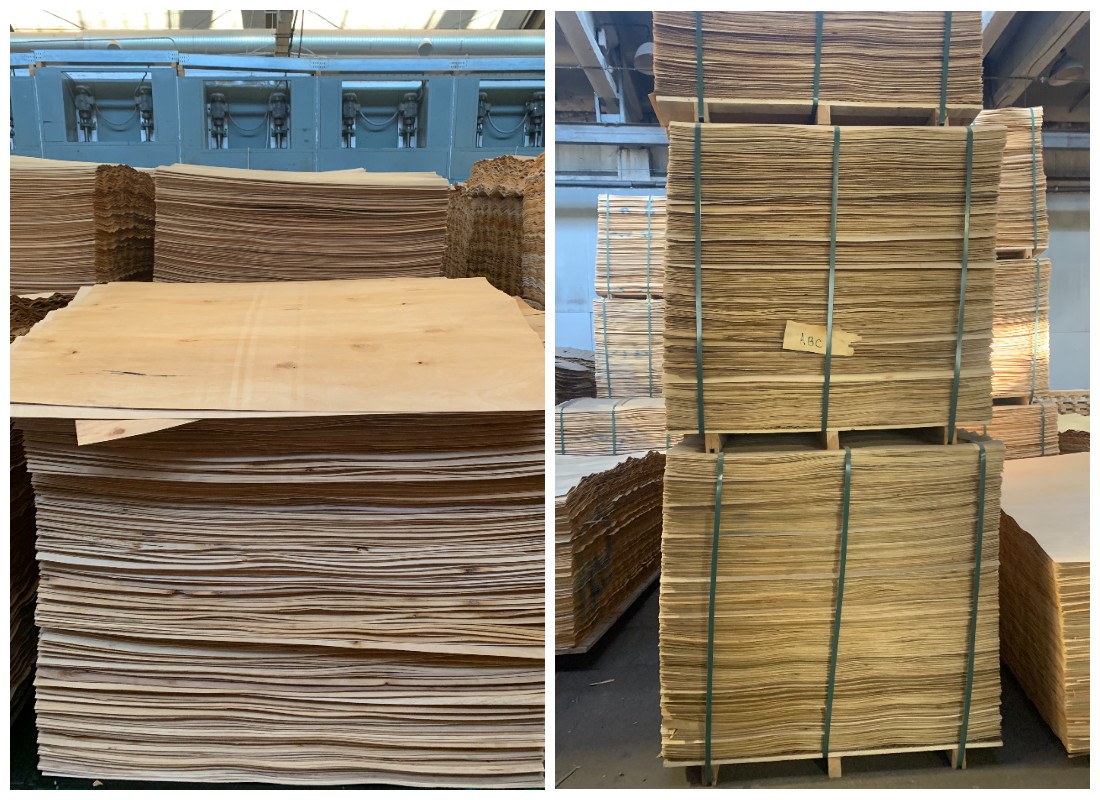 Buchenfurniere Buchenfurniere