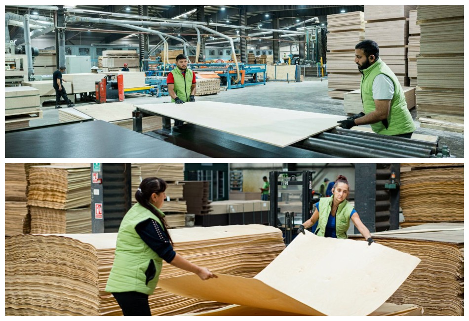 saplākšņa žāvēšana saplākšņa žāvēšana