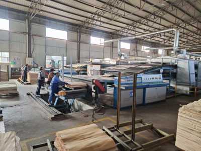 máy sấy veneer lõi