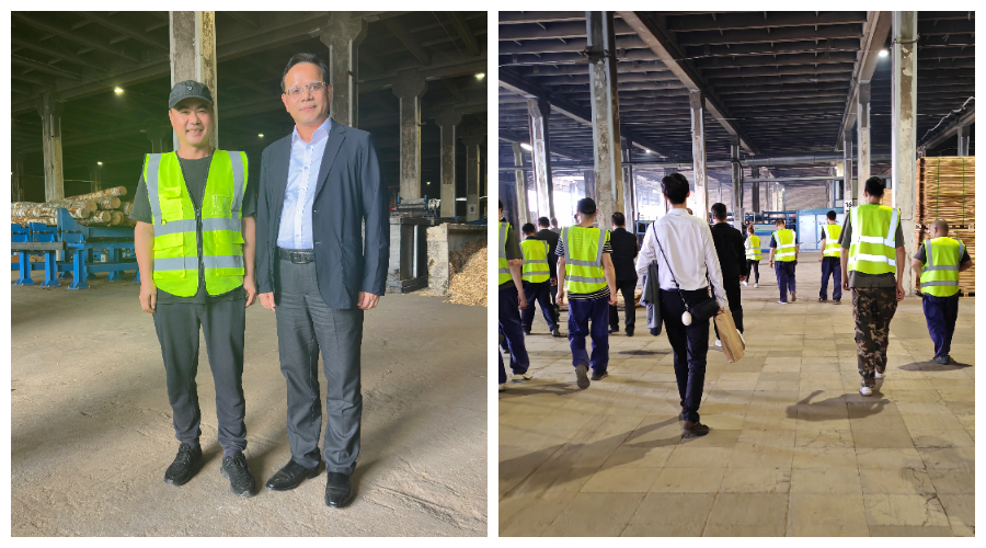 ไดร์เป่าผม Shine ในลัตเวีย ไดร์เป่าผม Shine ในลัตเวีย