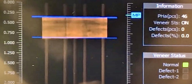 การตรวจสอบการมองเห็น