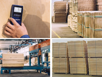 folheados de bétula