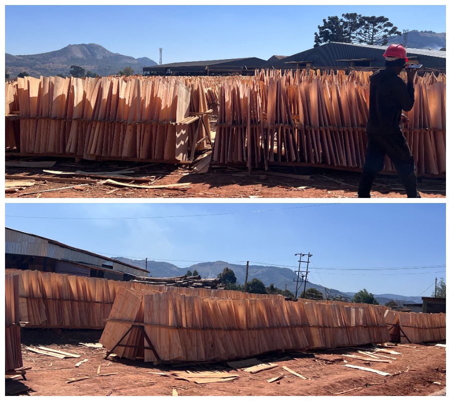 veneer drying veneer drying