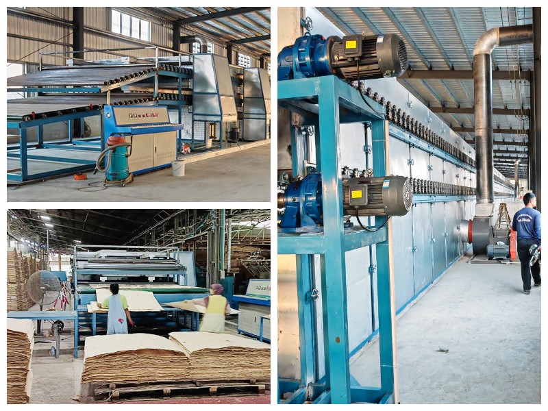 Shine Dryer in Thailand Shine Dryer in Thailand