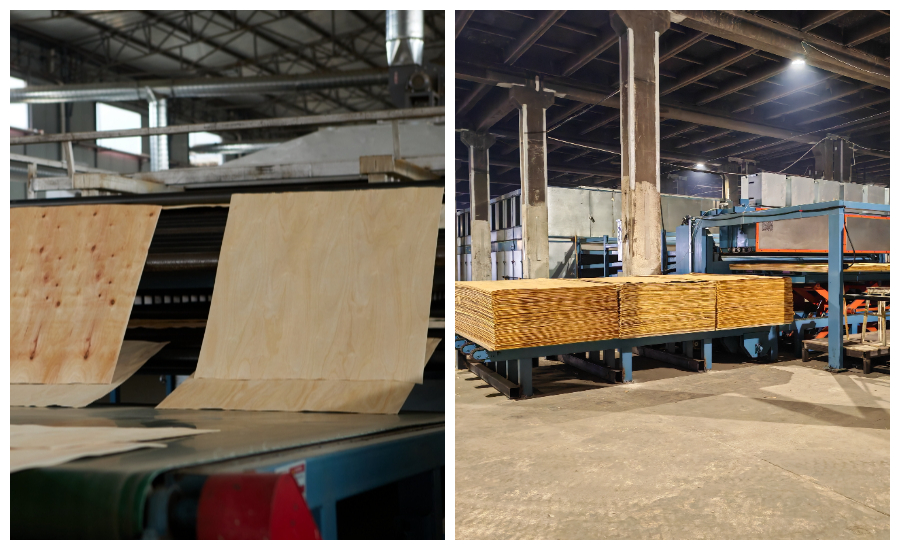 Shine veneer dryers Shine veneer dryers