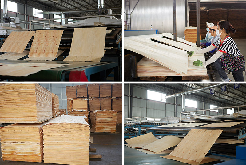 eucalyptus veneer drying eucalyptus veneer drying