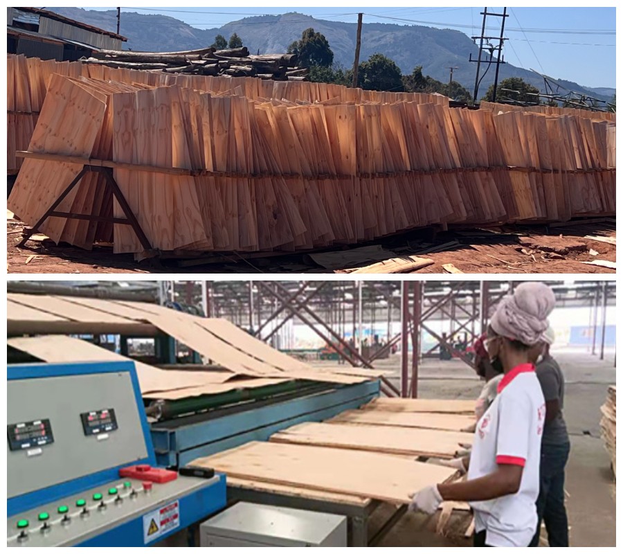 การตากแดดและการตากด้วยเครื่อง