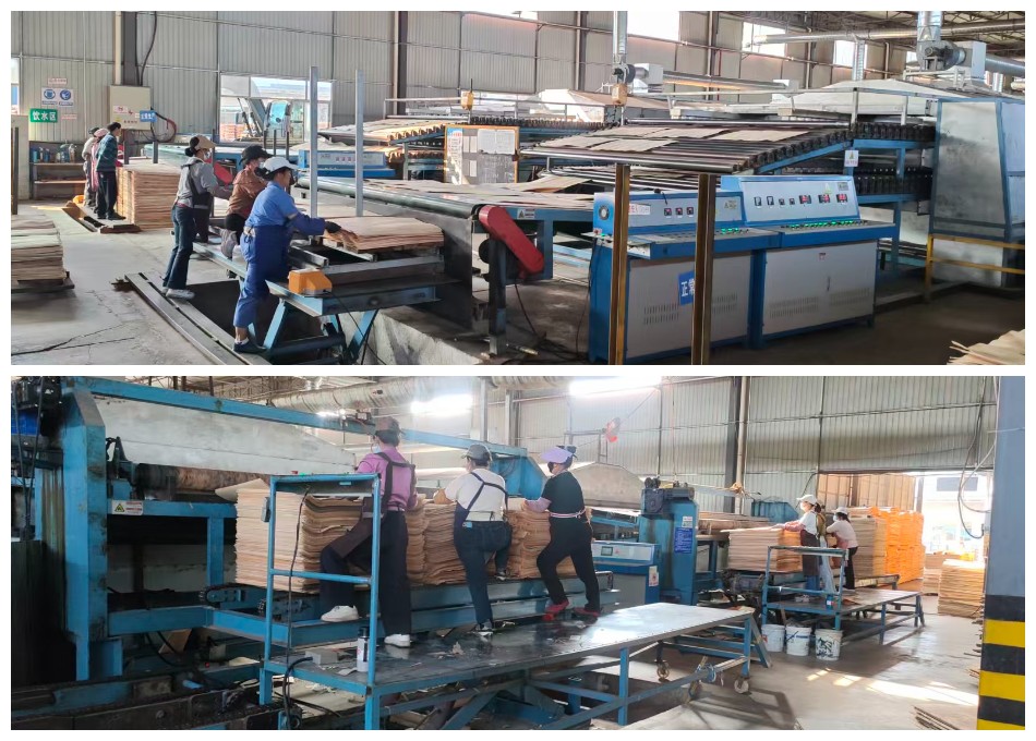 secagem de folheado central secagem de folheado central