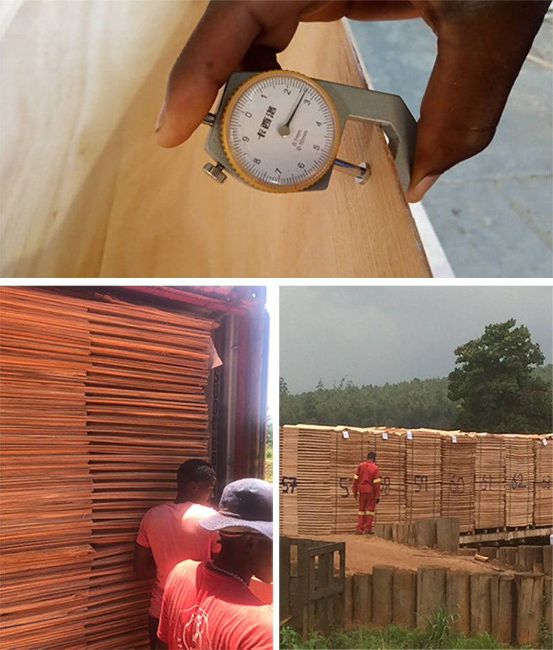 เคลือบเงาให้แห้ง