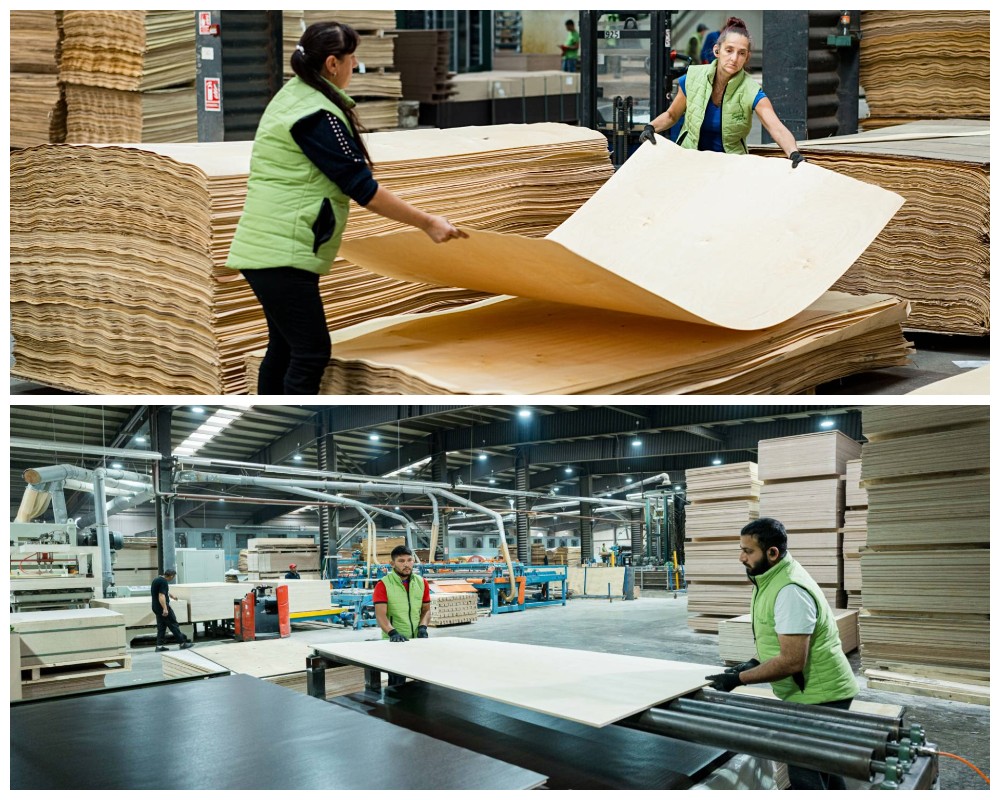 การผลิตไม้อัดเบิร์ช