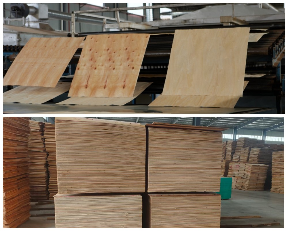 การอบแห้งแผ่นไม้อัด การอบแห้งแผ่นไม้อัด