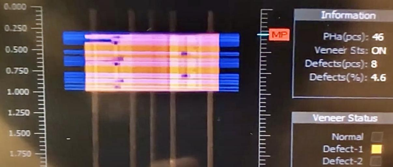 การตรวจสอบการมองเห็น