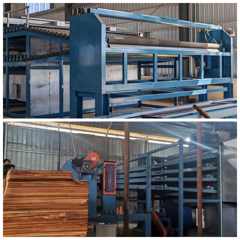 Semi Automatic veneer feeder