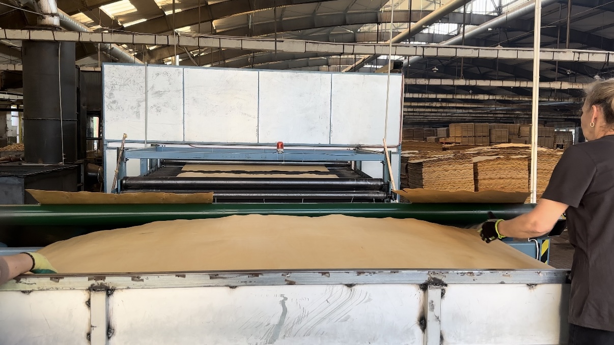 secagem de lâminas de folheado