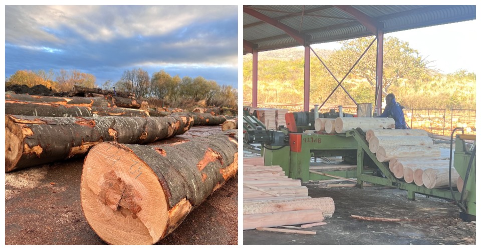 เส้นลอกวีเนียร์ เส้นลอกวีเนียร์