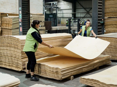 производство фанеры