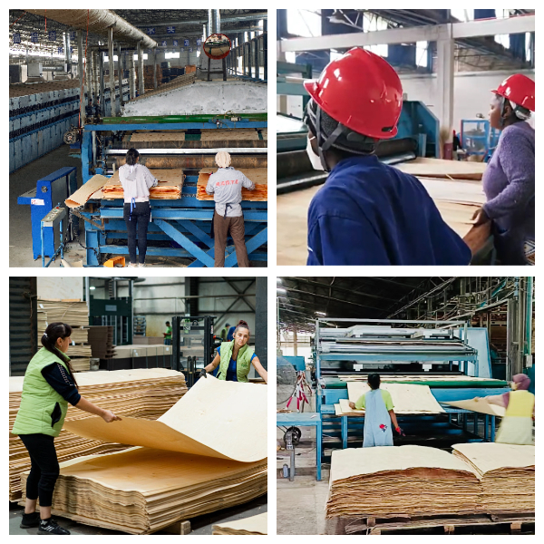 сушильная машина для шпона сушильная машина для шпона