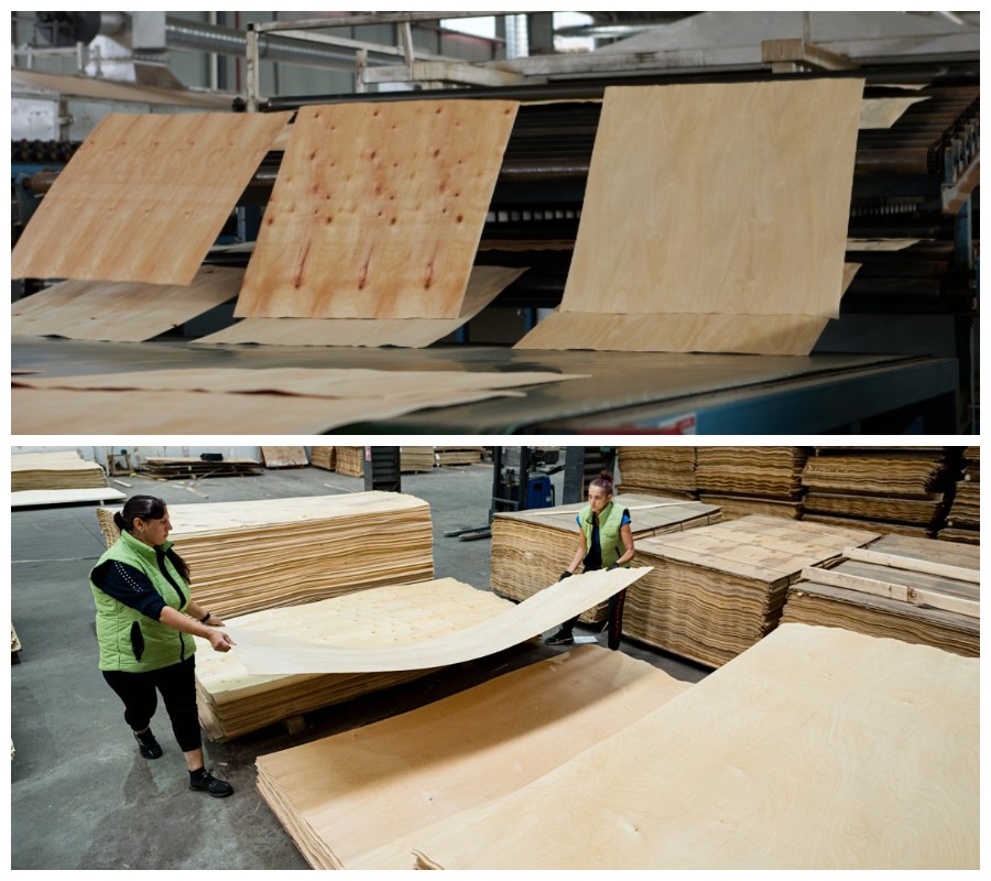 การอบแห้งแผ่นไม้อัดไม้เนื้อแข็ง การอบแห้งแผ่นไม้อัดไม้เนื้อแข็ง