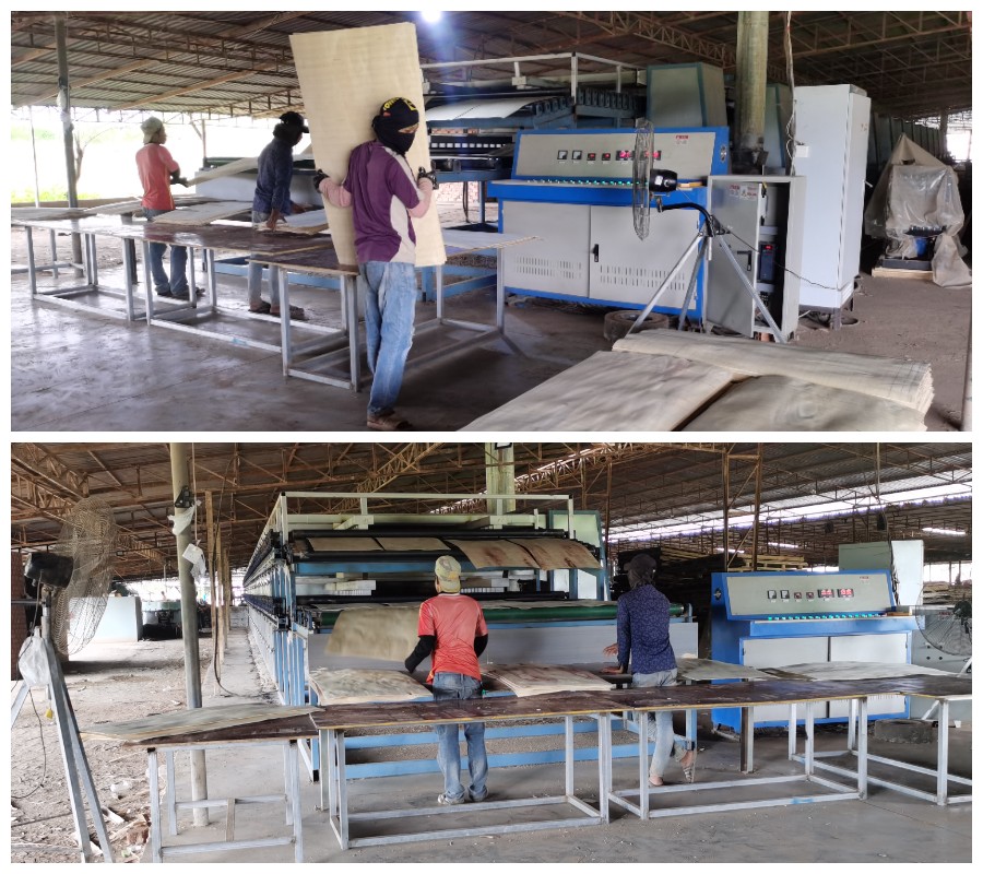 Máquina de secagem de folheados