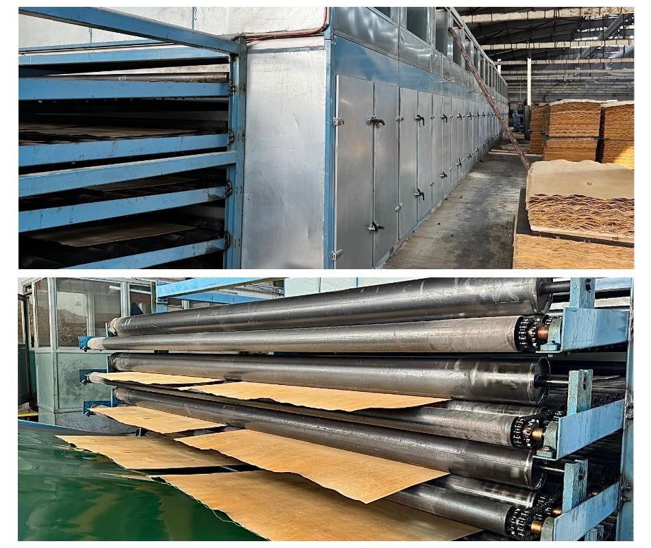 secagem de lâminas de madeira arrefecimento