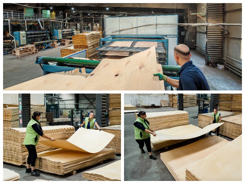 แผ่นไม้อัดแห้ง แผ่นไม้อัดแห้ง