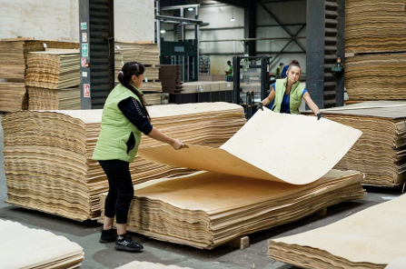 plywood production